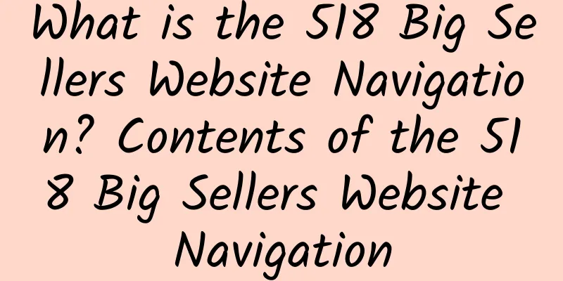 What is the 518 Big Sellers Website Navigation? Contents of the 518 Big Sellers Website Navigation