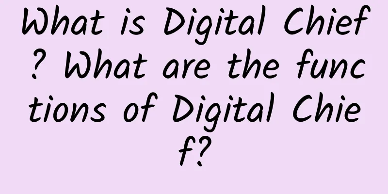 What is Digital Chief? What are the functions of Digital Chief?