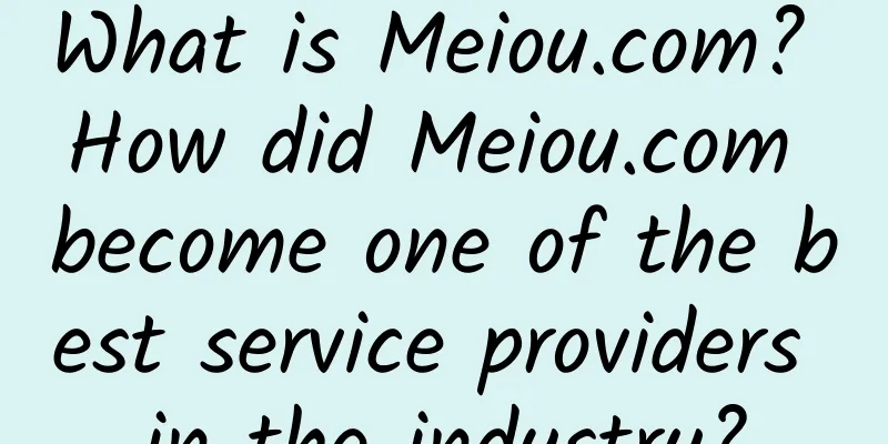 What is Meiou.com? How did Meiou.com become one of the best service providers in the industry?