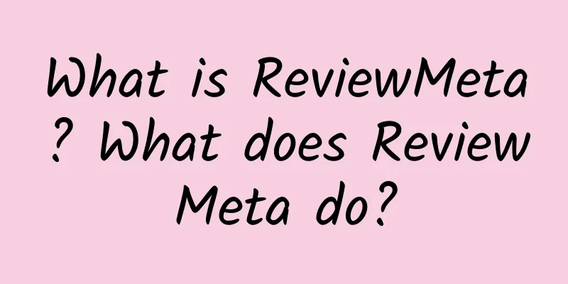 What is ReviewMeta? What does ReviewMeta do?