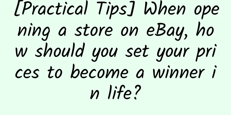 [Practical Tips] When opening a store on eBay, how should you set your prices to become a winner in life?