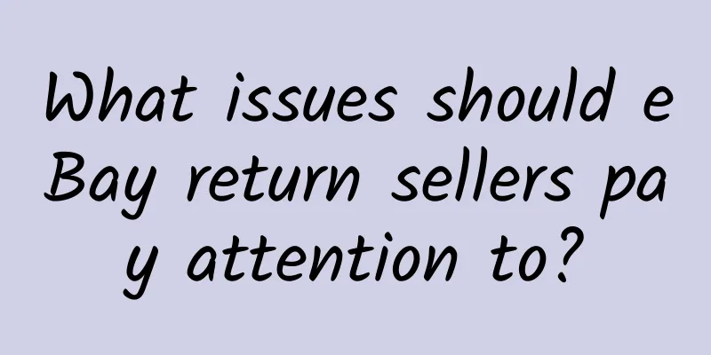 What issues should eBay return sellers pay attention to?