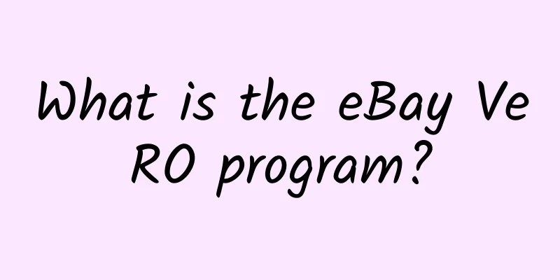What is the eBay VeRO program?