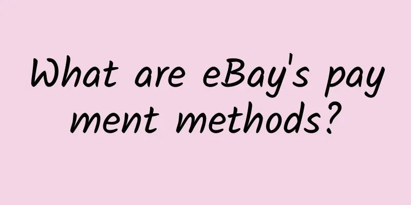 What are eBay's payment methods?