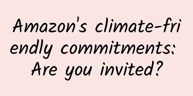 Amazon's climate-friendly commitments: Are you invited?