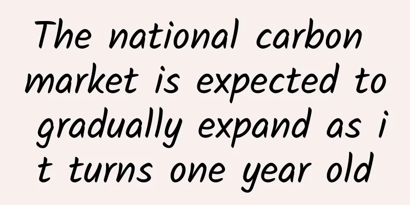 The national carbon market is expected to gradually expand as it turns one year old