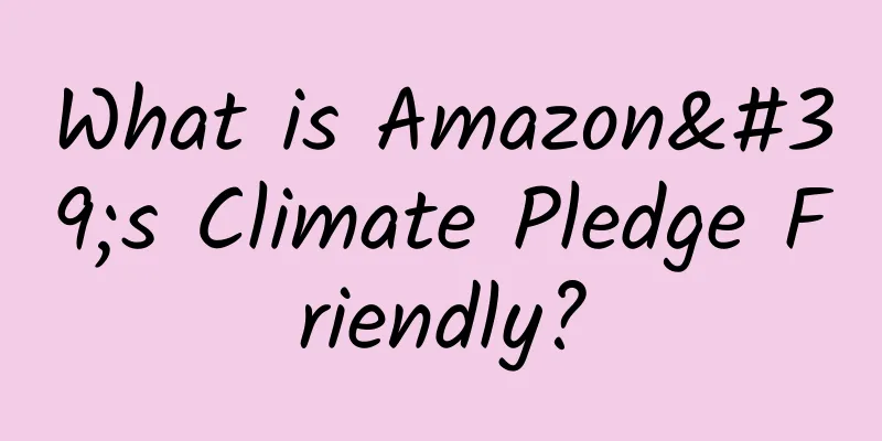 What is Amazon's Climate Pledge Friendly?