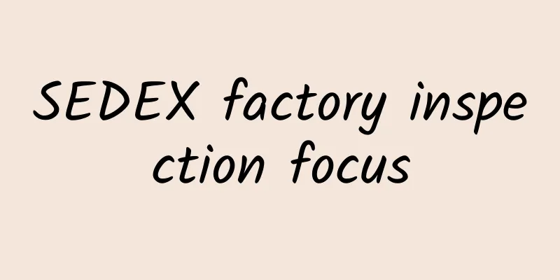 SEDEX factory inspection focus