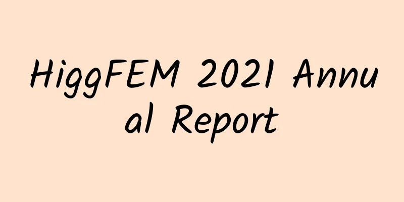 HiggFEM 2021 Annual Report