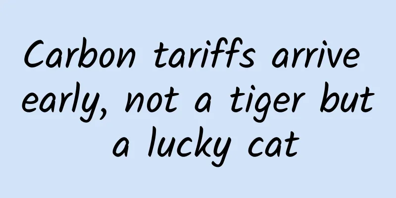 Carbon tariffs arrive early, not a tiger but a lucky cat