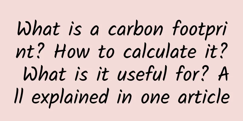 What is a carbon footprint? How to calculate it? What is it useful for? All explained in one article