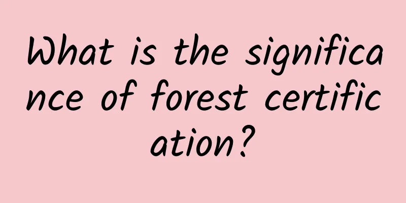 What is the significance of forest certification?