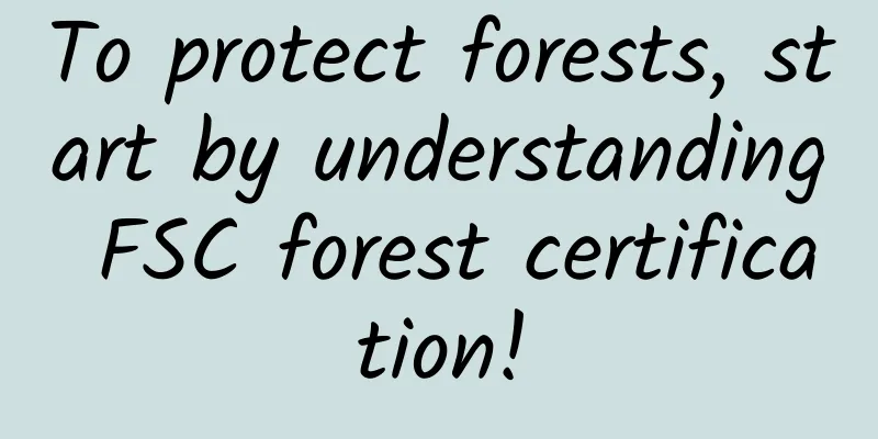 To protect forests, start by understanding FSC forest certification!
