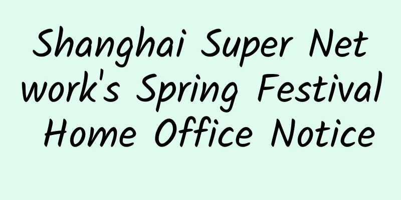 Shanghai Super Network's Spring Festival Home Office Notice