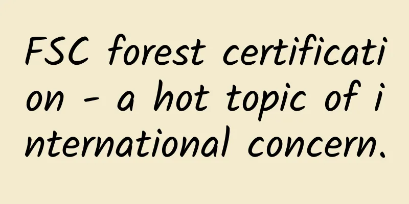 FSC forest certification - a hot topic of international concern.