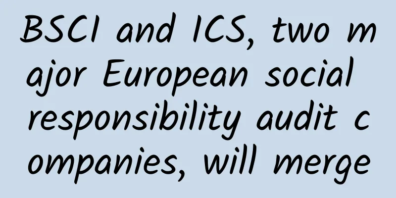 BSCI and ICS, two major European social responsibility audit companies, will merge
