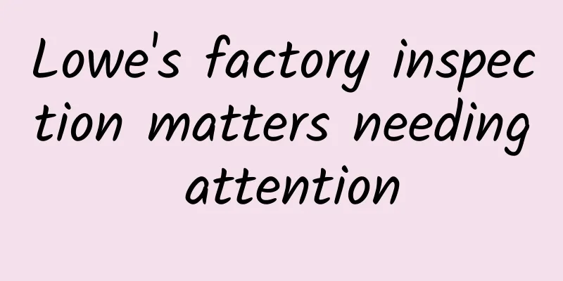 Lowe's factory inspection matters needing attention