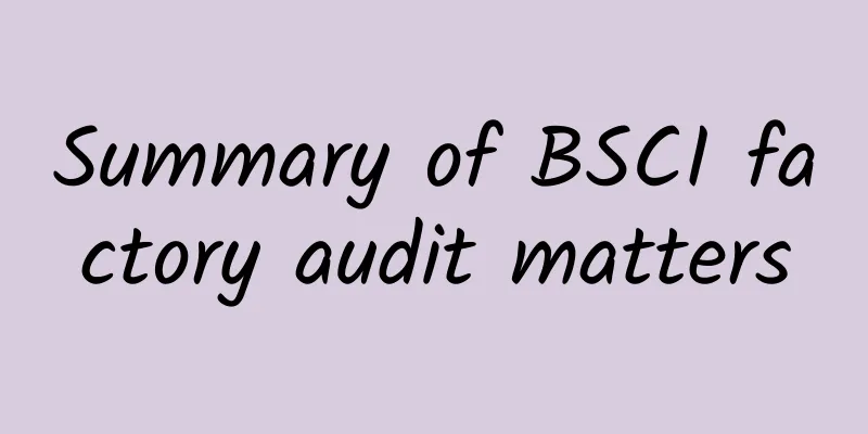 Summary of BSCI factory audit matters