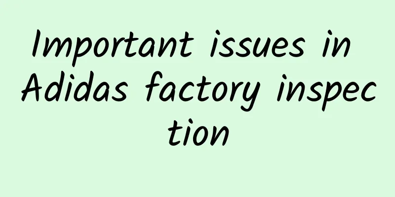 Important issues in Adidas factory inspection