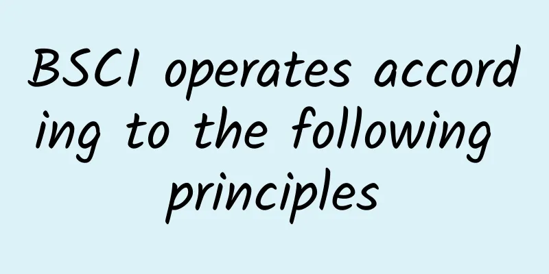 BSCI operates according to the following principles