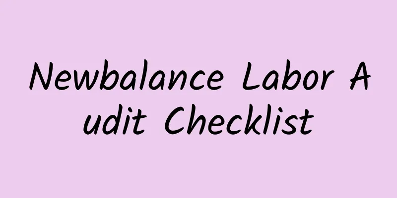 Newbalance Labor Audit Checklist