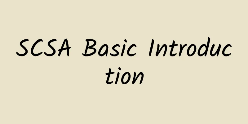 SCSA Basic Introduction
