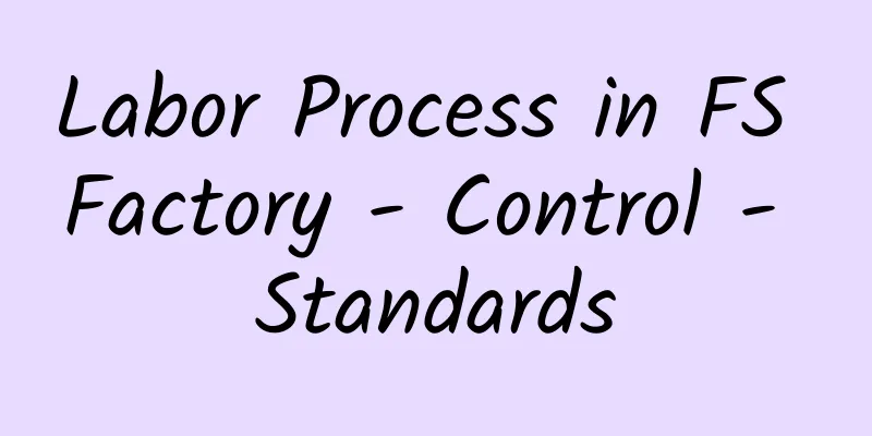 Labor Process in FS Factory - Control - Standards