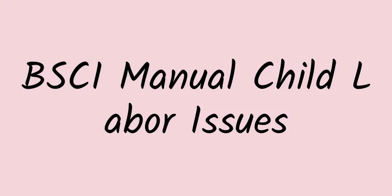BSCI Manual Child Labor Issues