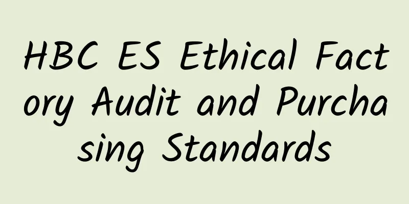 HBC ES Ethical Factory Audit and Purchasing Standards