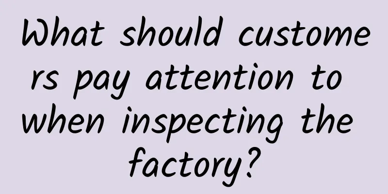 What should customers pay attention to when inspecting the factory?
