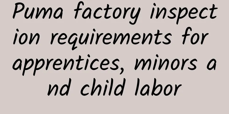 Puma factory inspection requirements for apprentices, minors and child labor