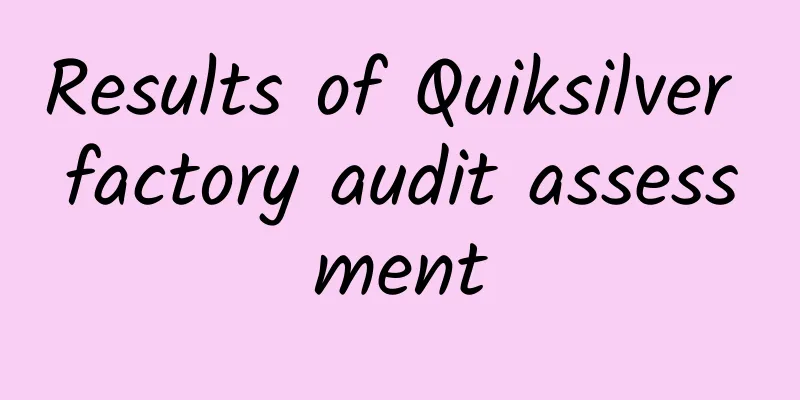 Results of Quiksilver factory audit assessment