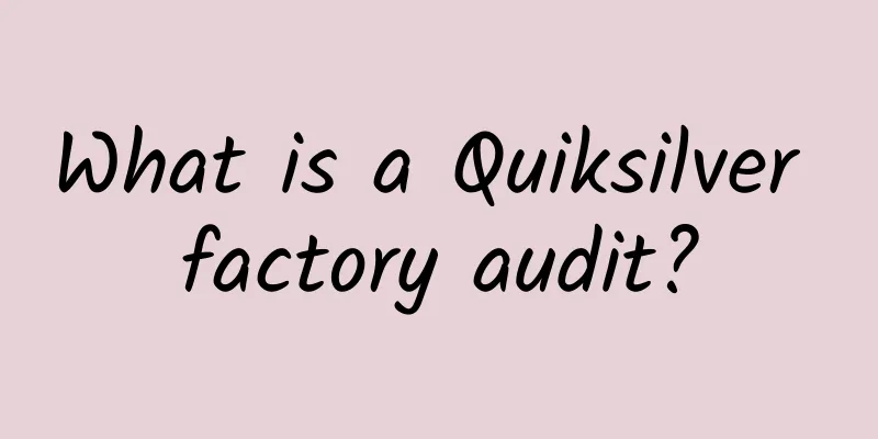 What is a Quiksilver factory audit?