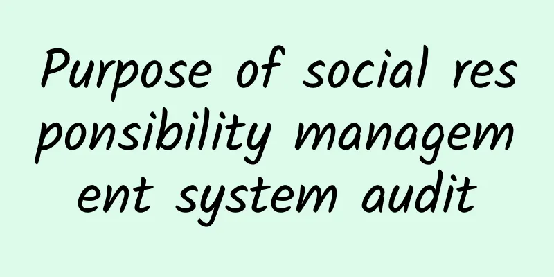 Purpose of social responsibility management system audit