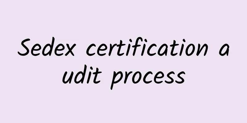 Sedex certification audit process