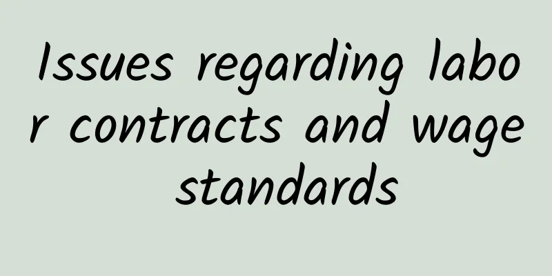 Issues regarding labor contracts and wage standards