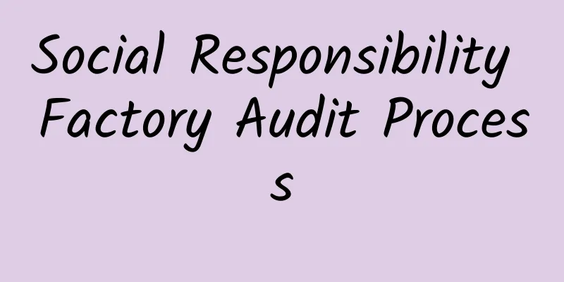 Social Responsibility Factory Audit Process