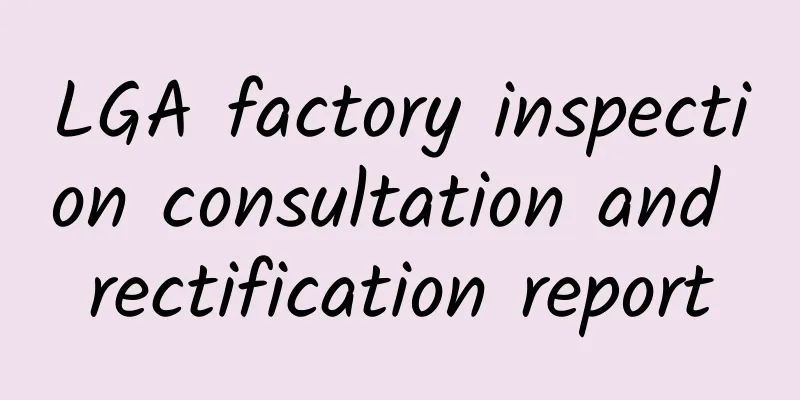 LGA factory inspection consultation and rectification report