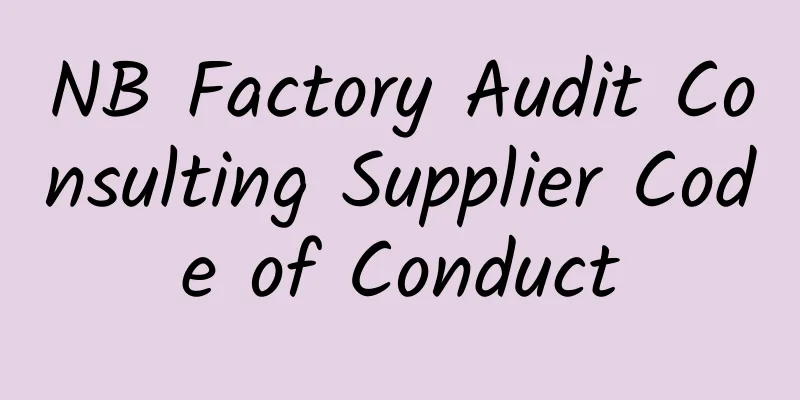 NB Factory Audit Consulting Supplier Code of Conduct