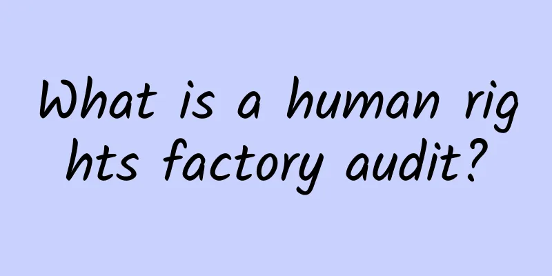 What is a human rights factory audit?