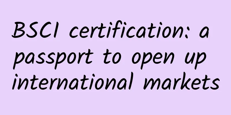 BSCI certification: a passport to open up international markets