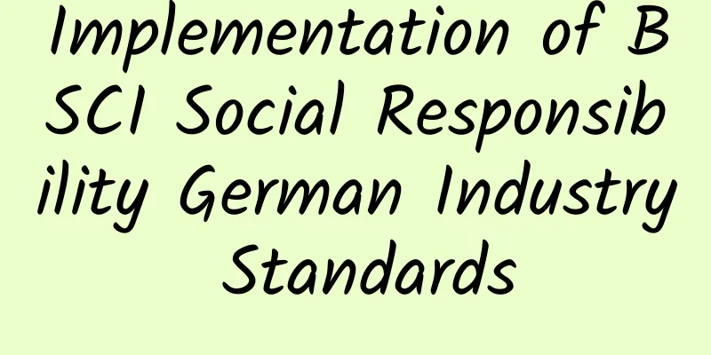 Implementation of BSCI Social Responsibility German Industry Standards