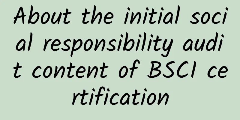 About the initial social responsibility audit content of BSCI certification