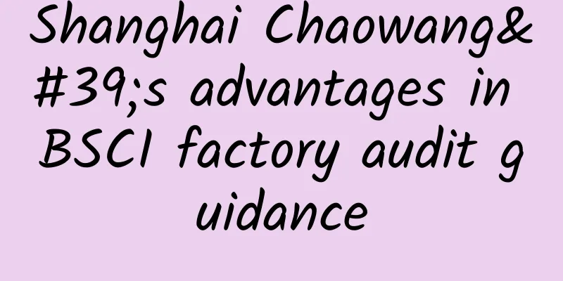 Shanghai Chaowang's advantages in BSCI factory audit guidance