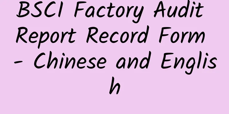 BSCI Factory Audit Report Record Form - Chinese and English
