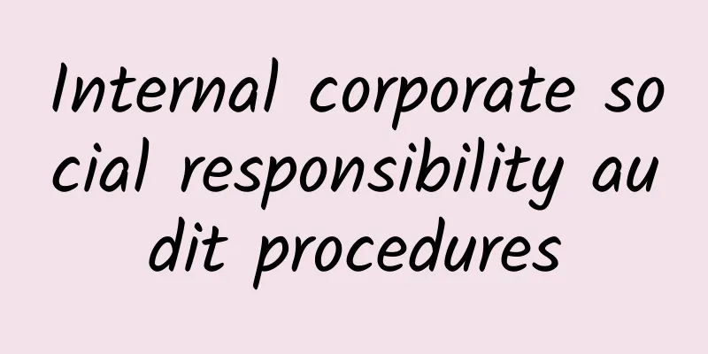 Internal corporate social responsibility audit procedures