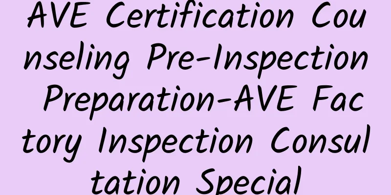 AVE Certification Counseling Pre-Inspection Preparation-AVE Factory Inspection Consultation Special