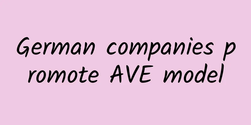 German companies promote AVE model