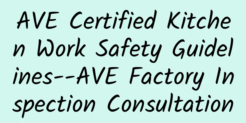 AVE Certified Kitchen Work Safety Guidelines--AVE Factory Inspection Consultation
