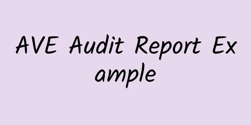 AVE Audit Report Example